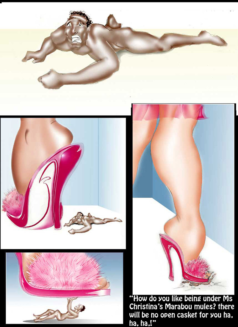 house-shoe2