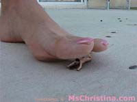 Bare Toe Fantasy