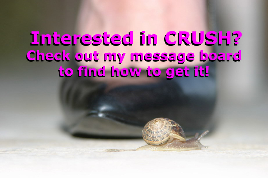 pic1-crush