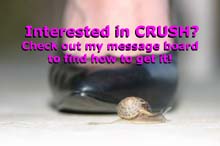 pic1-crush